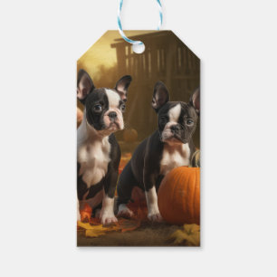 Boston Terrier Welpe Herbstfreude Kürbis Geschenkanhänger