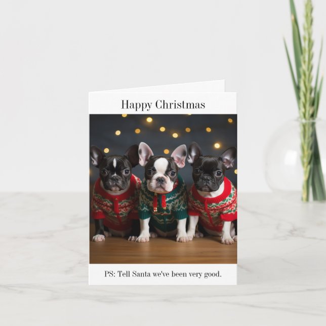 Boston Terrier Welppies Christmas Card Karte (Vorderseite)
