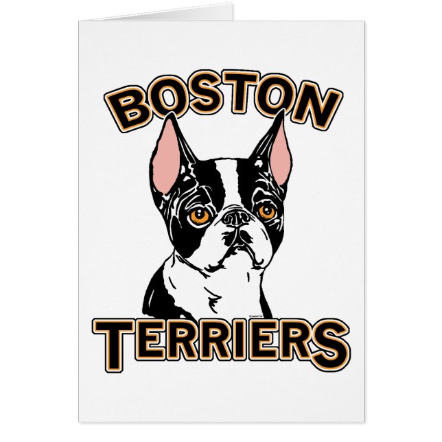 Boston Terriers Mascot (Vorne)