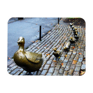 Boston - Wegbereiter für Ducklings Magnet