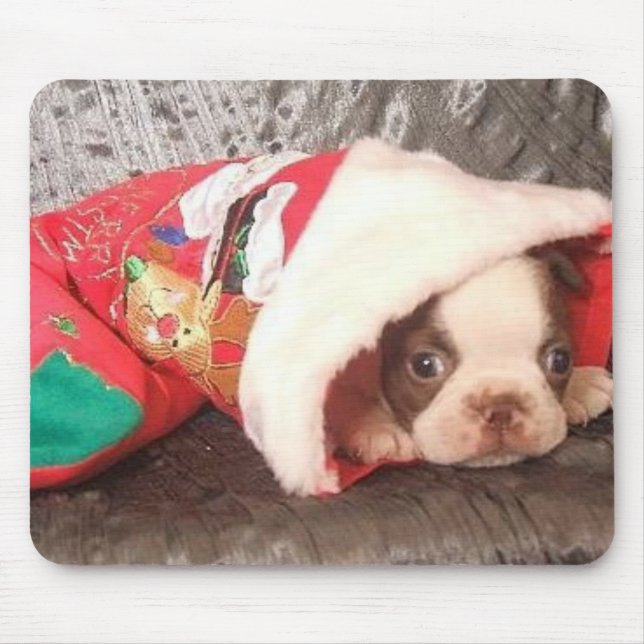 Boston-Welpe im WeihnachtsStrumpf Mousepad (Vorne)