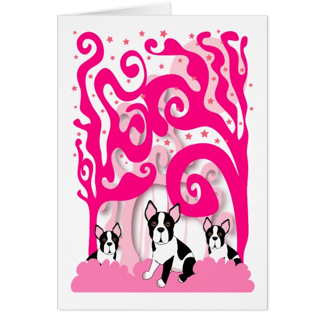 Bostons im Rosa (Vorne)