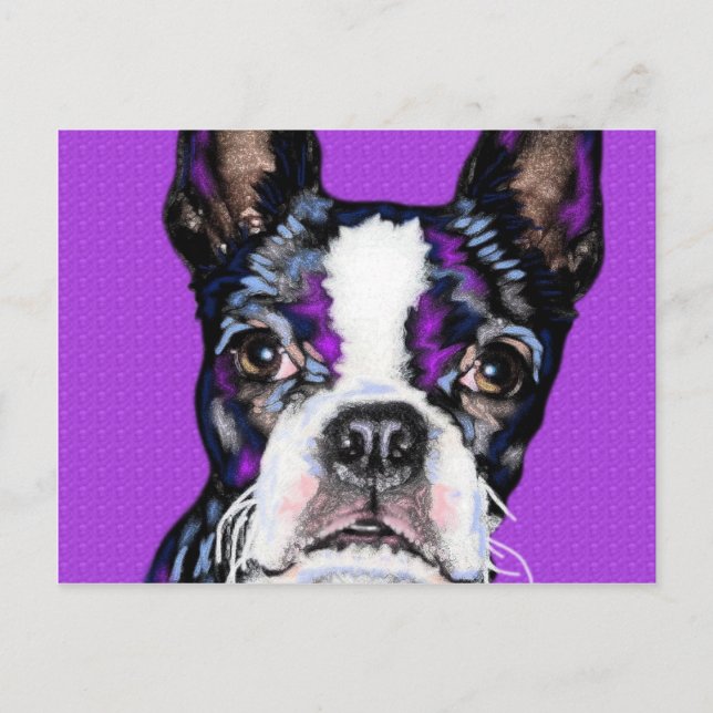 BostonTerrier Postkarte (Vorderseite)