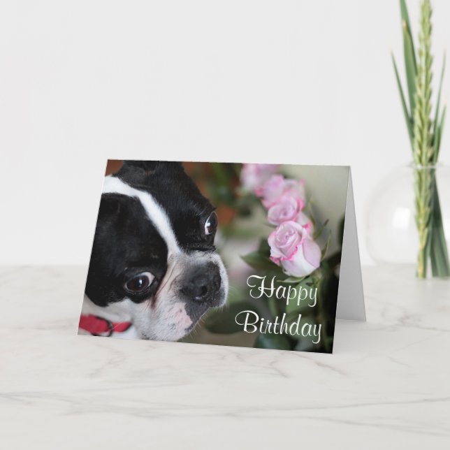 Bostonterrier und -Blumen Karte (Vorderseite)