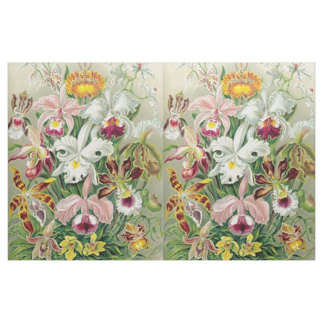 Botancal Orchideen-Blumen BlumenHaeckel Gewebe Stoff (Yard (91,4 cm))