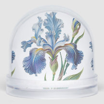 BOTANICAL BLOOM WITH IRIS