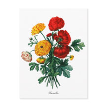 Botanical Camellia Bokeh