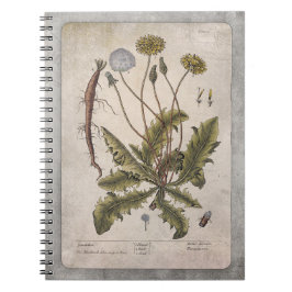 Botanical Illustration Notebook - Dandelion Notizblock