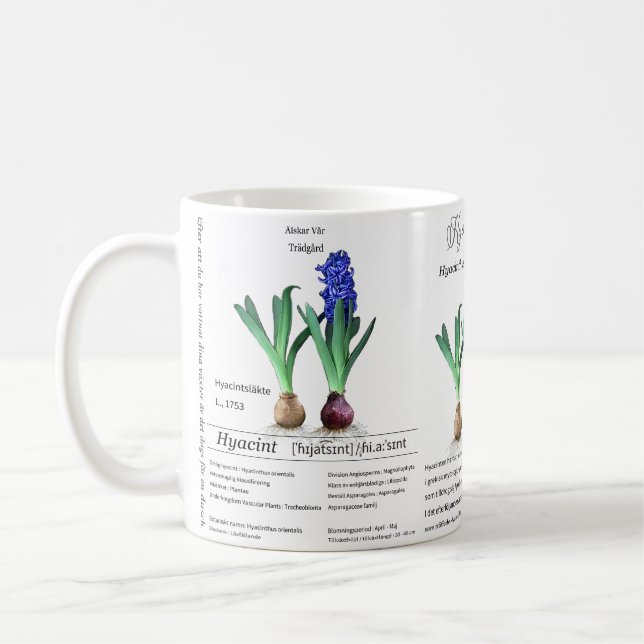 Botanical mug Hyacinth in my garden.  Kaffeetasse (Links)
