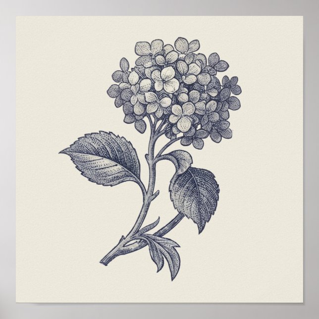 Botanical Toile | Hydrangea Vignette Poster (Vorne)