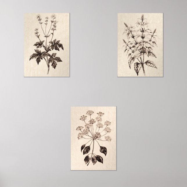 Botanical Wall Art for Living Room (Recto)
