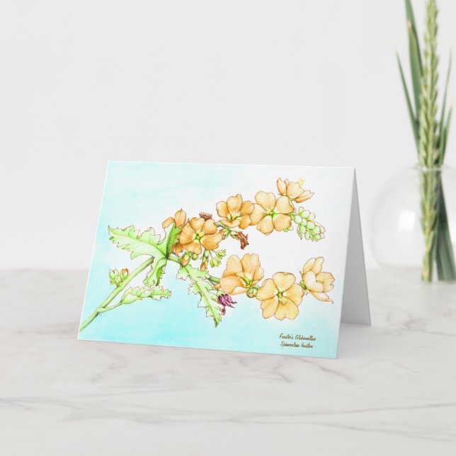Botanical watercolor wildflower globemallow karte (Vorderseite)
