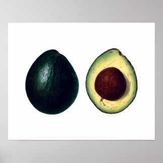 Botanikdruck AVOCADOS Poster
