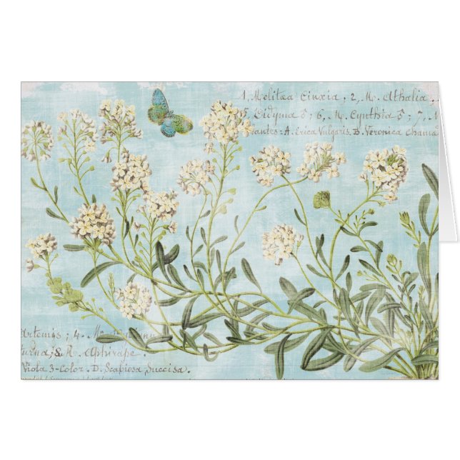 Botanique bleu (Devant horizontal)