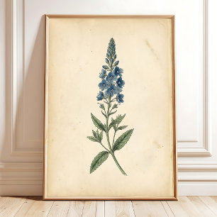 Botanique Speedwell Art Mural Vintage