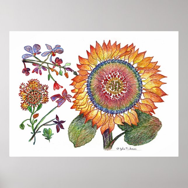 botanisch46 poster (Vorne)