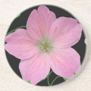 Botanisch erblassen Sie - rosa Pelargonie-Blume Sandstein Untersetzer