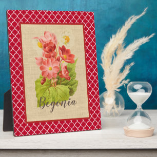 Botanisch-rotes Begonia und Quatrefoil Fotoplatte