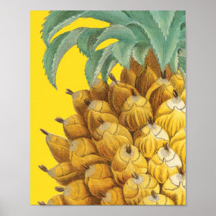 Botanische Ananas im Gelb Poster