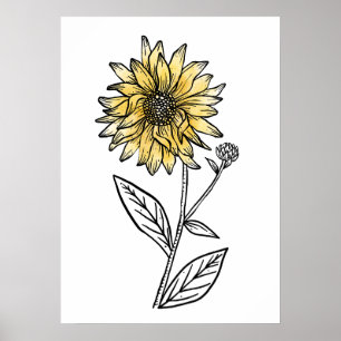 Botanische Aquarell-Ästhetik-Linienkunst-Sonnenblu Poster