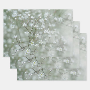 Botanische Baby-Atem-Blumenpflanzen-Foto Geschenkpapier Set