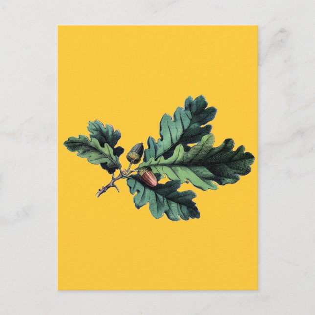 Botanische Blätter aus antikem Eichenholz Postkarte (Vorderseite)