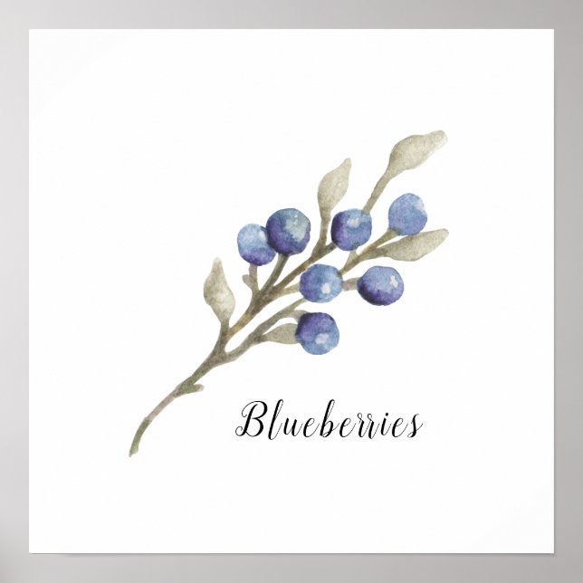 Botanische Blaubeeren Poster (Vorne)
