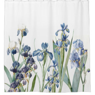 Botanische blaue Iris-Blumen-Blumengarten Duschvorhang
