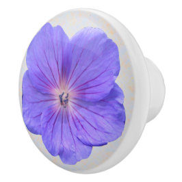 Botanische blaue Pelargonie-Blume auf irgendeiner Keramikknauf