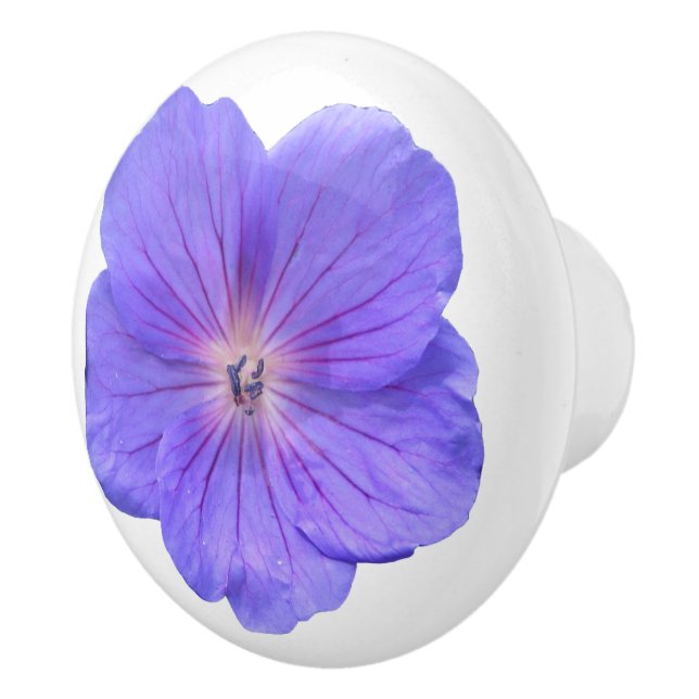 Botanische blaue Pelargonie-Blume auf irgendeiner Keramikknauf (Rechts)