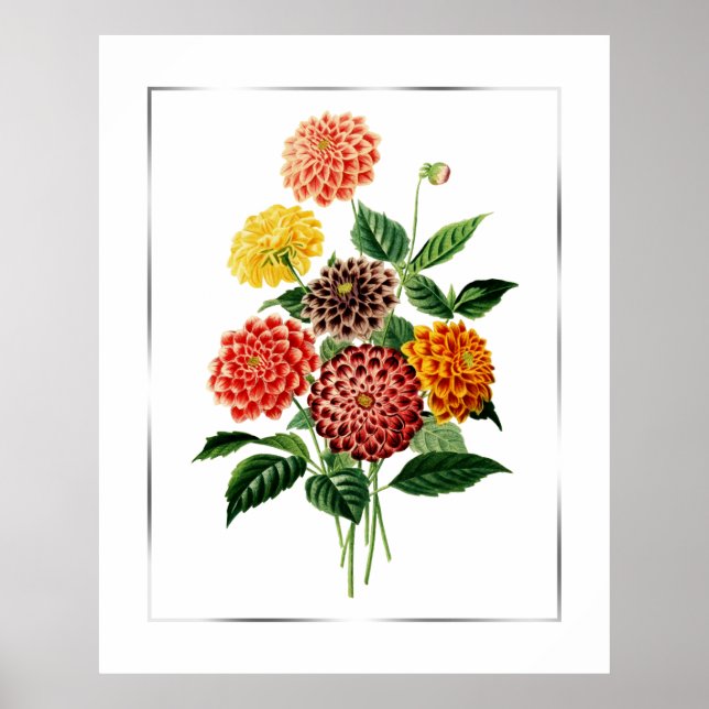 Botanische Blume Bouquet Poster (Vorne)