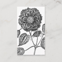 Botanische Blume Visitenkarte