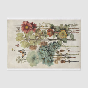Botanische Blumenillustrationen auf Pergament Nr. Seidenpapier