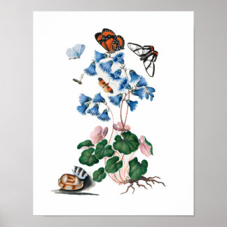 Botanische Blumenplakate Poster