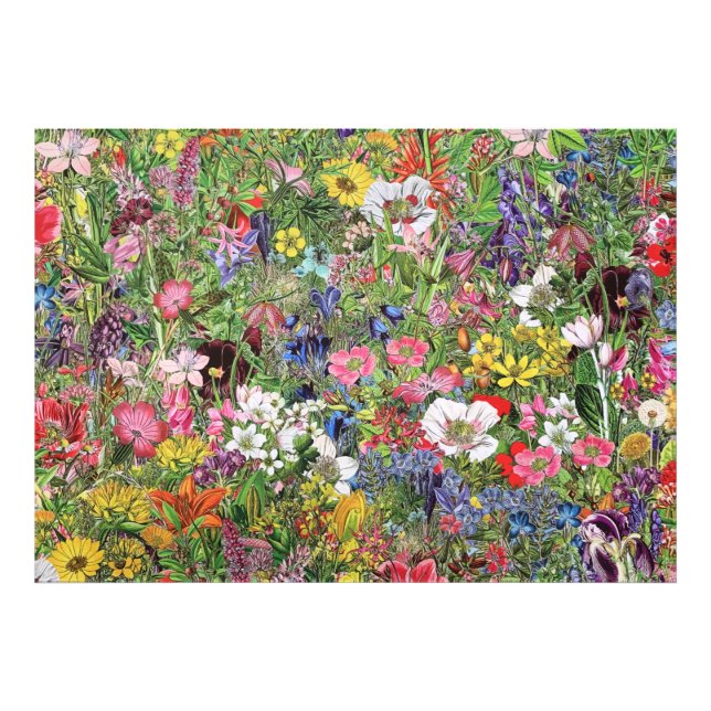 Botanische Blütennatur-Wildblume Fotodruck (Vorne)