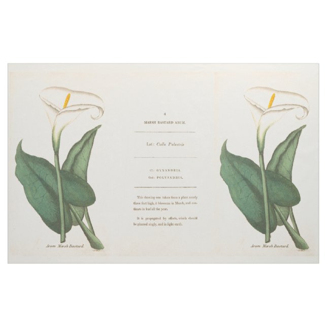 Botanische Calla-Lilien-Blumen-Blumengewebe Stoff (Yard (91,4 cm))