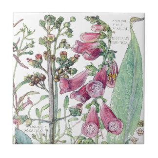 Botanische Fingerhut-Wildblume-Blumen-Fliese Fliese