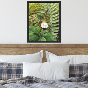 Botanische Fotografie-Pflanze aus Holz Leinwanddruck