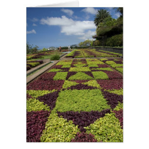 Botanische Gärten, Funchal, Madeira-Inseln,
