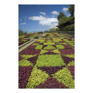Botanische Gärten, Funchal, Madeira-Inseln, Fotodruck