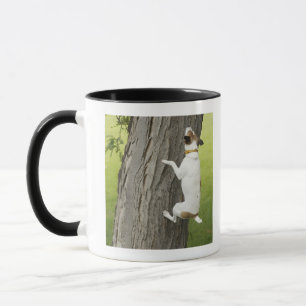 Botanische Gärten, Sydney, New South Wales, 4 Tasse