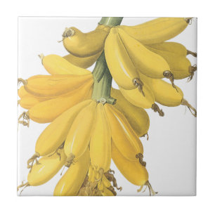 Botanische gelbe Bananen Fliese
