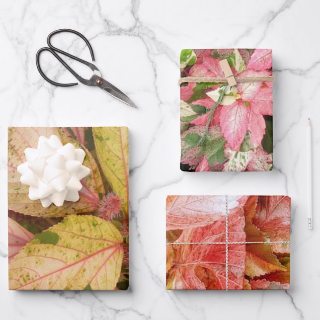 Botanische Geschenkpapier-Blätter Geschenkpapier Set (Vorderseite)