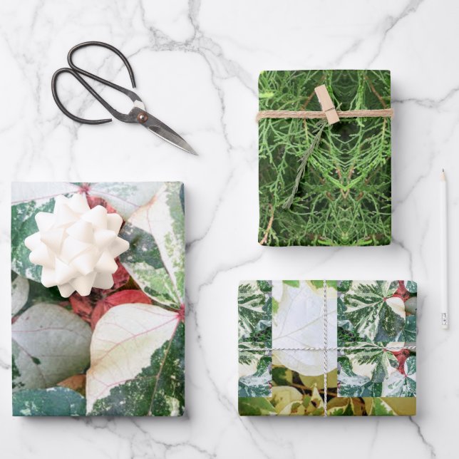 Botanische Geschenkpapier-Blätter Geschenkpapier Set (Vorderseite)