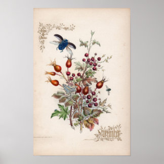 Botanische Gravuren, November Poster