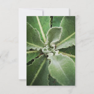 Botanische grüne Blätter Grußkarte Karte