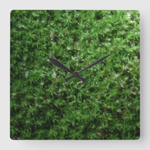 Botanische grüne Grundmoos-Natur-Uhr im Freien Quadratische Wanduhr