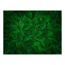 Botanische Grünpflanzen Leaf Pile Poster