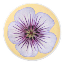 Botanische hellblaue Pelargonie-Blume auf