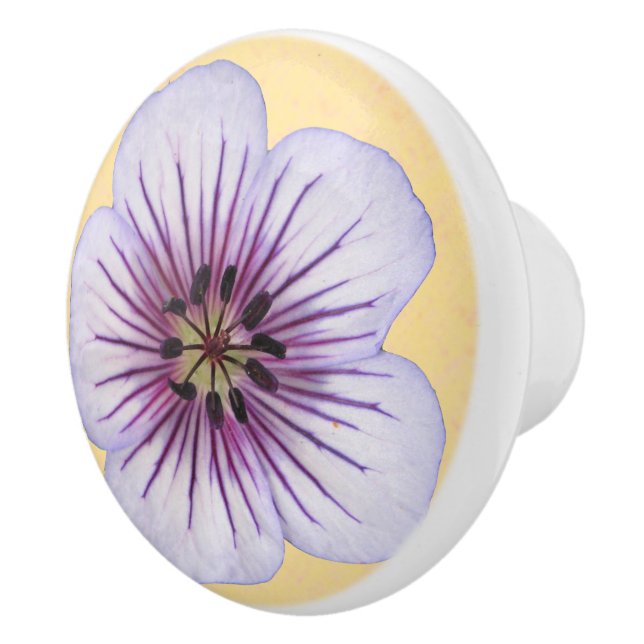 Botanische hellblaue Pelargonie-Blume auf Keramikknauf (Rechts)